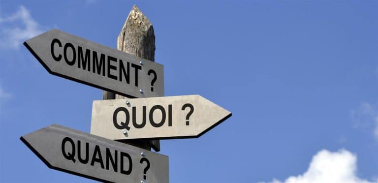 Guide pratique pour comprendre la franchise