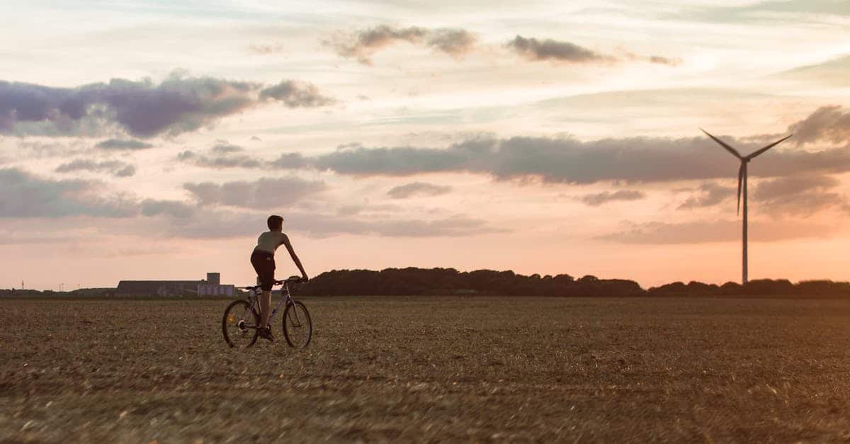 découvrez comment la durabilité est au cœur de notre engagement pour un avenir meilleur. apprenez comment nous nous engageons à préserver notre environnement et à promouvoir la responsabilité sociale.
