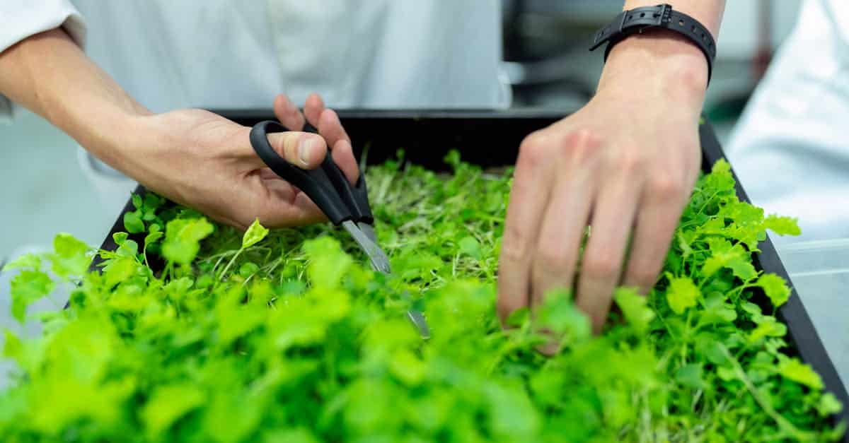 découvrez l'importance de la durabilité et son impact positif sur l'environnement et la société.